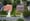 Does Land Depreciate in Value? Understanding Key Factors