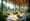 Understanding the Wellness Real Estate Market: Key Insights and Trends